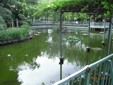 川崎大師 鶴の池 浄化槽清掃