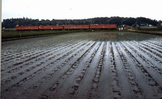 1981年真岡線715-1