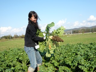 北海道15美唄農業体験2