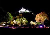 フォトコン・竹に灯る和歌山城