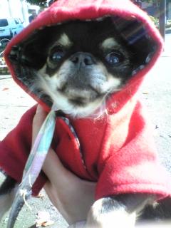 my Little Red Riding Hood
