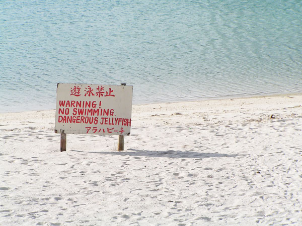遊泳禁止だよ～ん