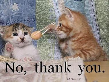 にゃんこの「NO,THANK YOU」面白画像！
