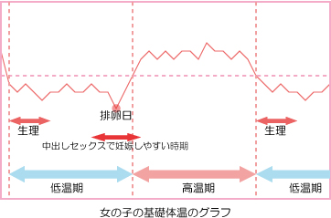 女の子の基礎体温のグラフ